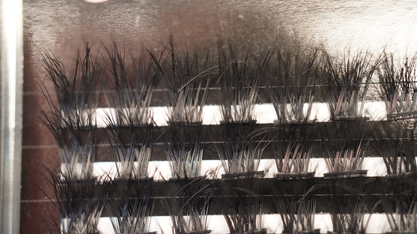 Eyelashes - BeBeauty